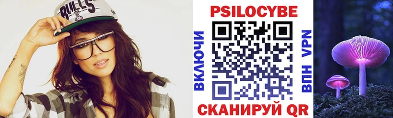 Псилоцибиновые грибы Psilocybe Белая Калитва