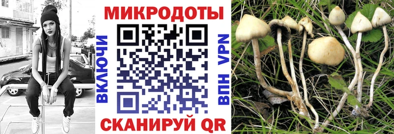 даркнет сайт  Белая Калитва  мориарти какой сайт  Галлюциногенные грибы ЛСД 